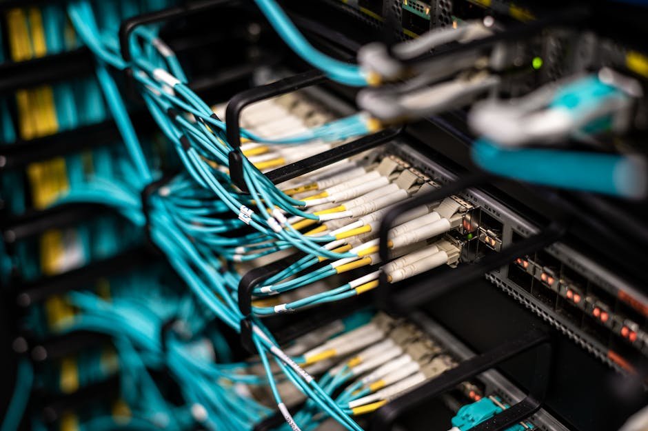 Server patch panel with cables representing tunnel routing infrastructure
