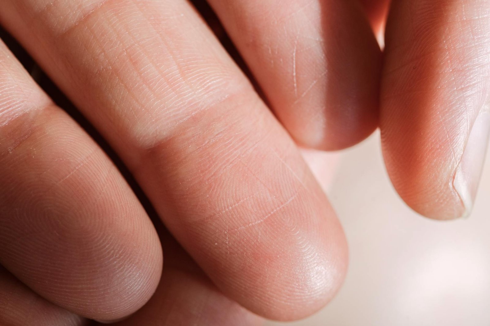 Biometric and passkey authentication is the modern replacement for password-based SSO